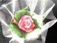 Junko's Rose